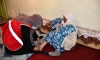 "Asırlık çınarlar" Türk Kızılayın yardım eliyle hayata tutunuyor