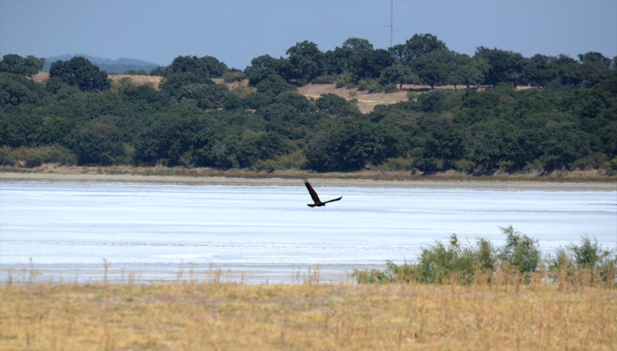 Ailesiyle tatile gelen Recep Kılıç, Trakya`da bu yıl hava sıcaklıklarının yüksek olduğunu söyledi.