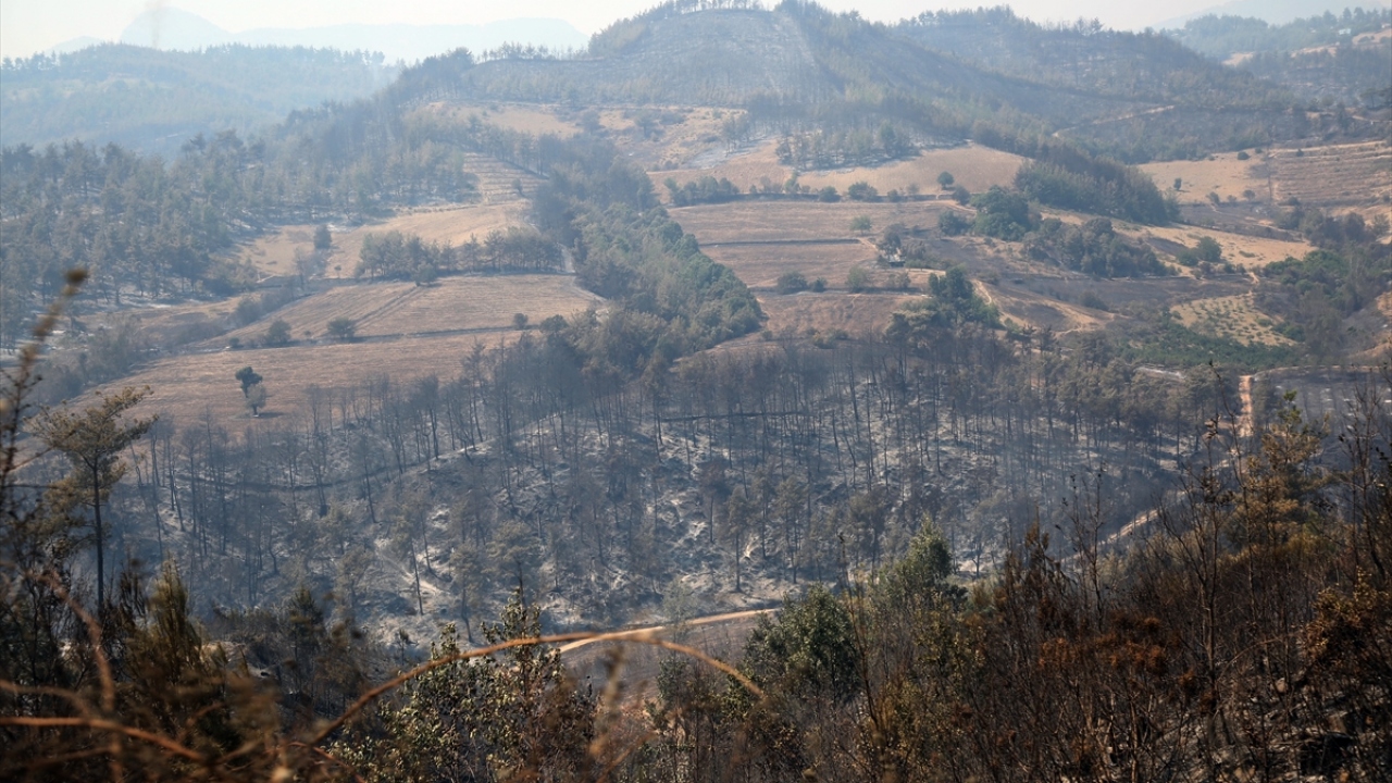 İlçeye bağlı Kuyubeyli Mahallesi`ndeki 23 Ağustos`ta başlayan ve dün kontrol altına alınan yangında soğutma çalışmaları Adana ve çevre illerden gelen çok sayıda personelin katılımıyla gerçekleştiriliyor.