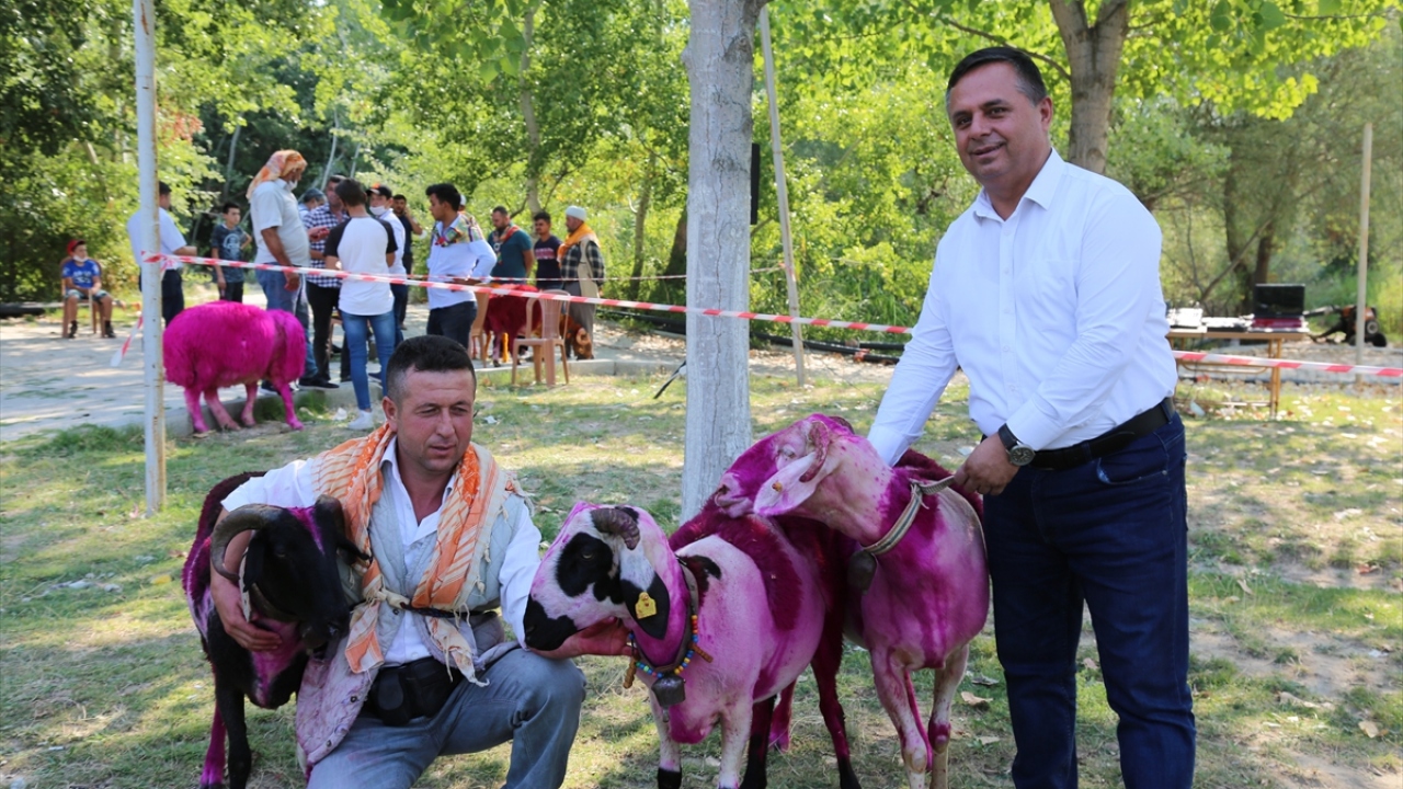 Çal Belediye Başkanı Fethi Akcan, bu yıl pandemi dolayısıyla yarışmayı temsili olarak gerçekleştirebildiklerini belirtti. 