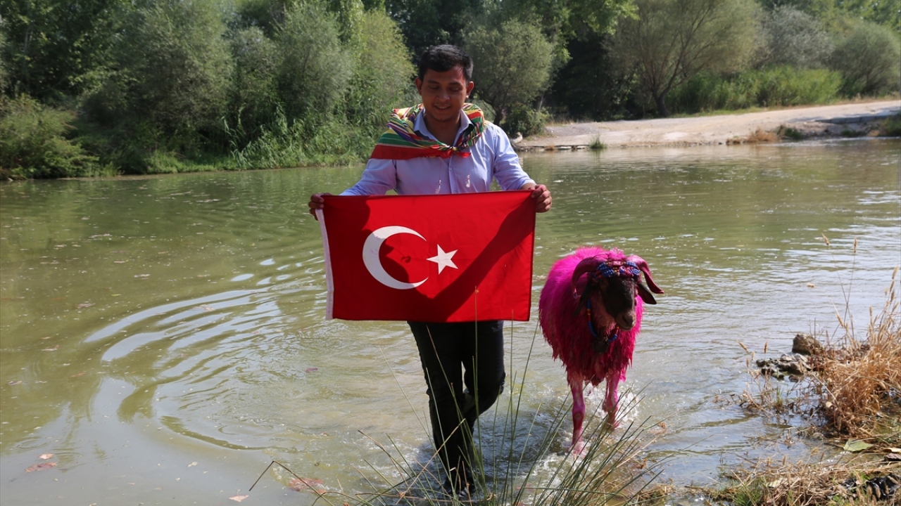 Çobanın istenileni başarmasına karşın bey, yine de kızını kendisine vermez. Kızının aşkından hastalanıp ölmesi üzerine bey tarafından kovulan çoban, ömrünü kaval çalarak dağlarda geçirir.