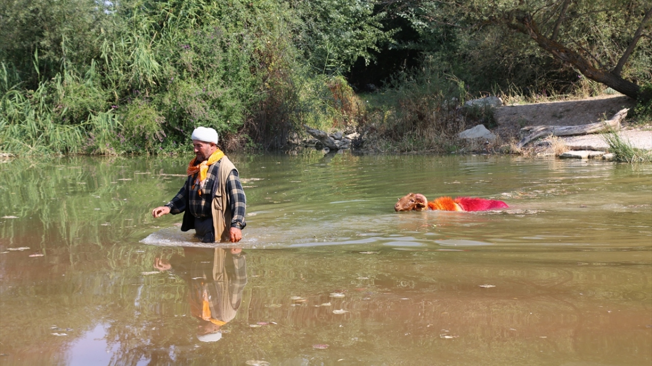 Bu hikayeden yola çıkılarak düzenlenen yarışma, çobanlık konusunda dünyadaki ender organizasyonlar arasında gösteriliyor.