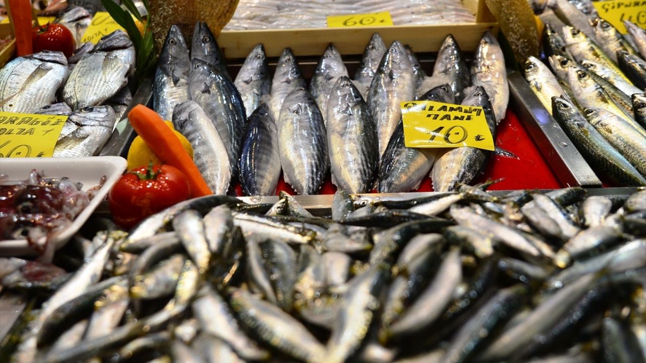 Kentteki balık tezgahlarında çeşitlilik, 15 Temmuz`dan itibaren uluslararası sularda teknelerin ava çıkması ve özellikle olta balıkçılarının yoğun şekilde balık tutmasıyla arttı.