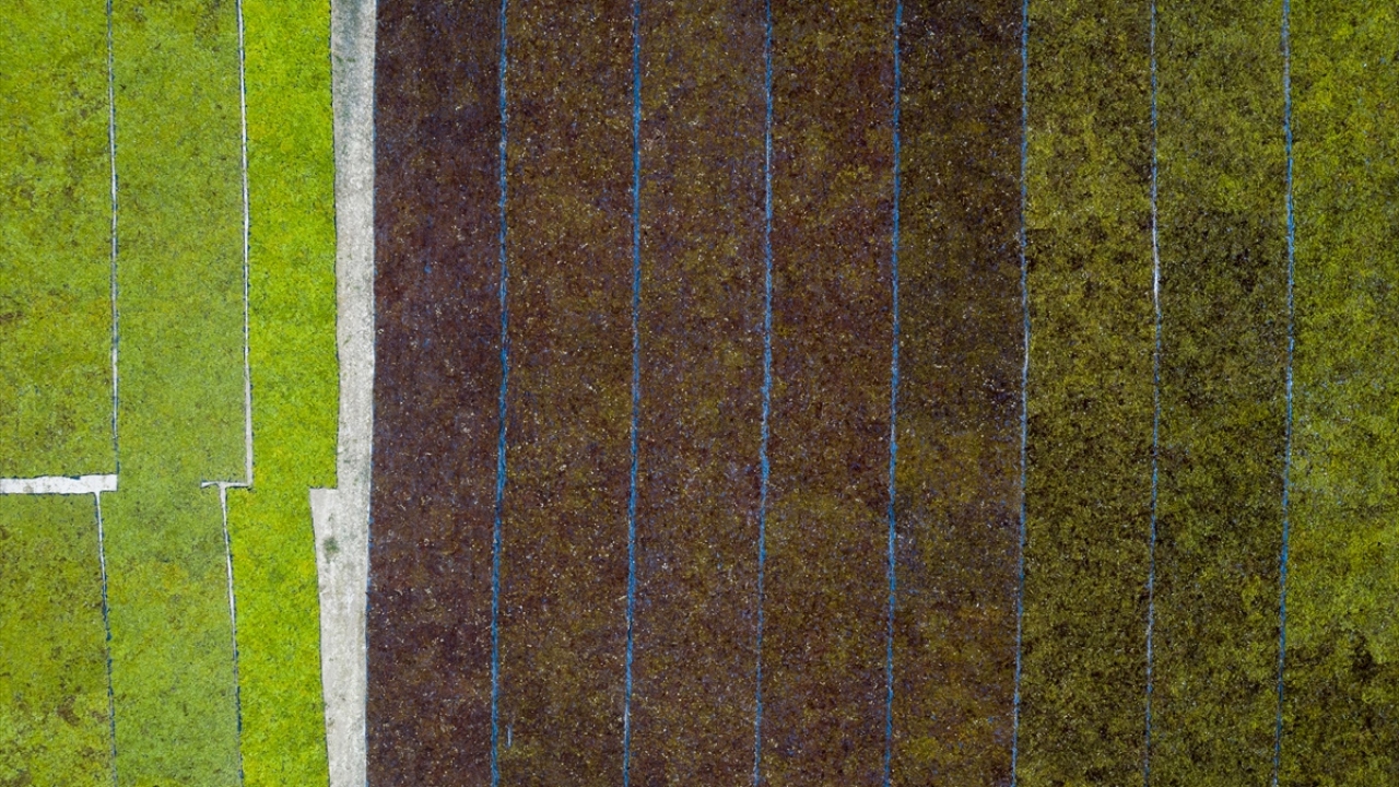 Saruhanlı Ziraat Odası Başkanı Aydoğan Okur, tüm üreticilerin gözünün Bakan Pakdemirli`nin taban fiyat açıklamasında olduğunu belirterek, "Maliyetlerimizi göz önünde bulundurduğumuzda Manisa Ziraat Odaları olarak 9 numara üzüme 13,5 lira talep ediyoruz." 