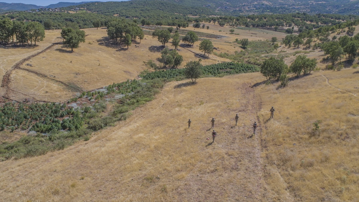 İlçeye bağlı Kayacık Mahallesi`ne intikal eden ekipler, farklı noktalarda yasa dışı Hint kenevir tarlalarını tespit etti. 
