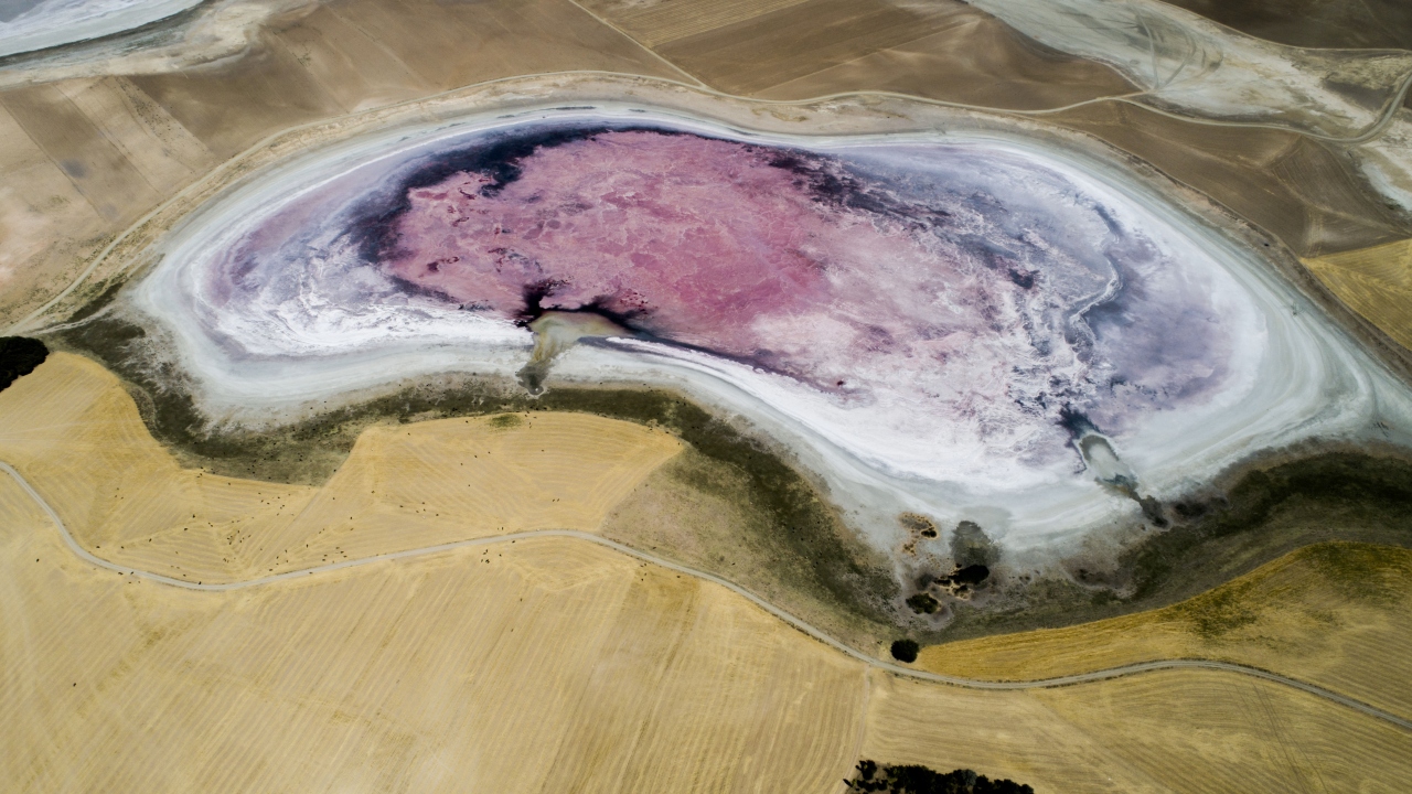 "Göldeki görsellik çarpıcı olsa da acı verici"