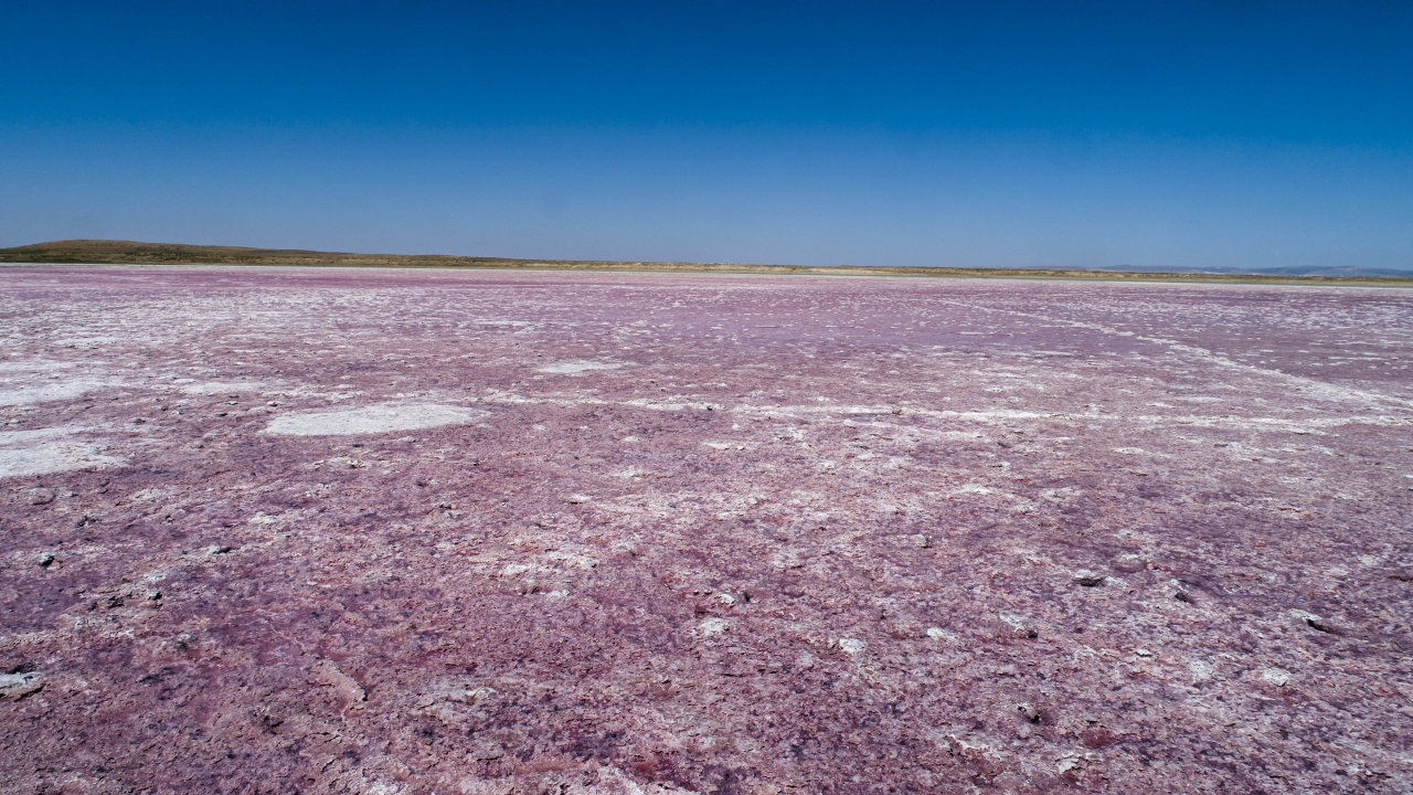 Kuraklığın izleriyle birleşen renk, bölgede güzel manzara oluşturdu.