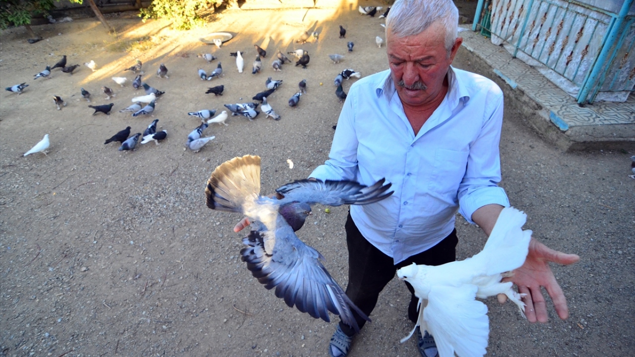 Bu tutkusunun, 6 yaşındayken babasına zorla aldırdığı iki güvercinle başladığını ifade eden Muammer Yılmaz, 62 yıldır "Evlatlarım" dediği güvercinlerinden hiç ayrılmadığını söyledi.