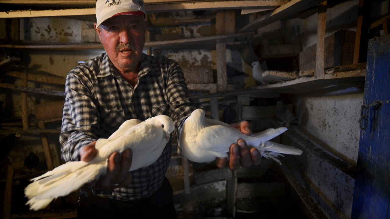 Kuşları zarar gördüğünde çok fazla etkilendiğini aktaran Yılmaz, herhangi bir kuşunun kaybolması ya da ölmesi durumunda birkaç gün yemekten kesildiğini, uzun bir süre kendine gelemediğini dile getirdi.