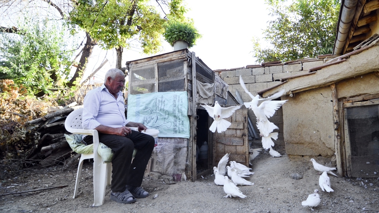 Güvercinlerin masrafı için sigarayı bırakmış