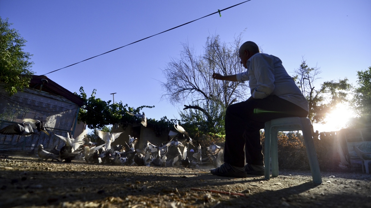 "Yıllık 7-8 bin lira masrafım var"