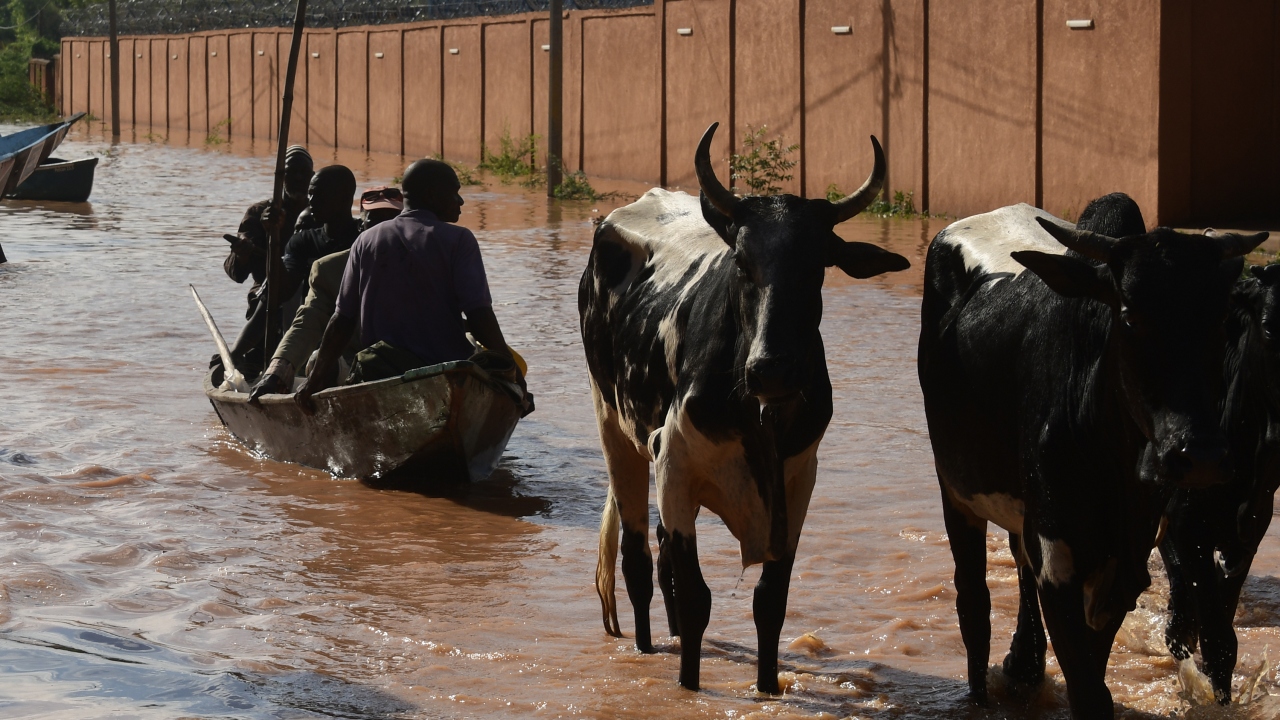 Açıklamada 20 bin ev ve 24 caminin de sular altında kaldığı vurgulanırken, 4 bin 290`dan fazla büyükbaş hayvanın telef olduğu, 448 tahıl ambarı ve 5 bin 306 hektarlık ekilebilir arazinin zarar gördüğü bilgisi paylaşıldı.