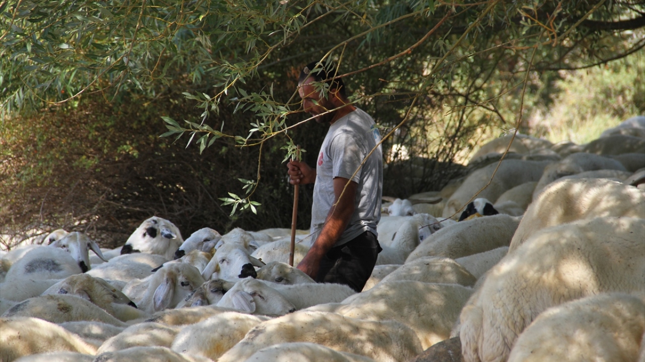 Üç çocuk babası besici Kılıçkaya, gönül verdiği hayvancılığın bereketli olmasından dolayı çok mutlu olduğunu ifade etti. 