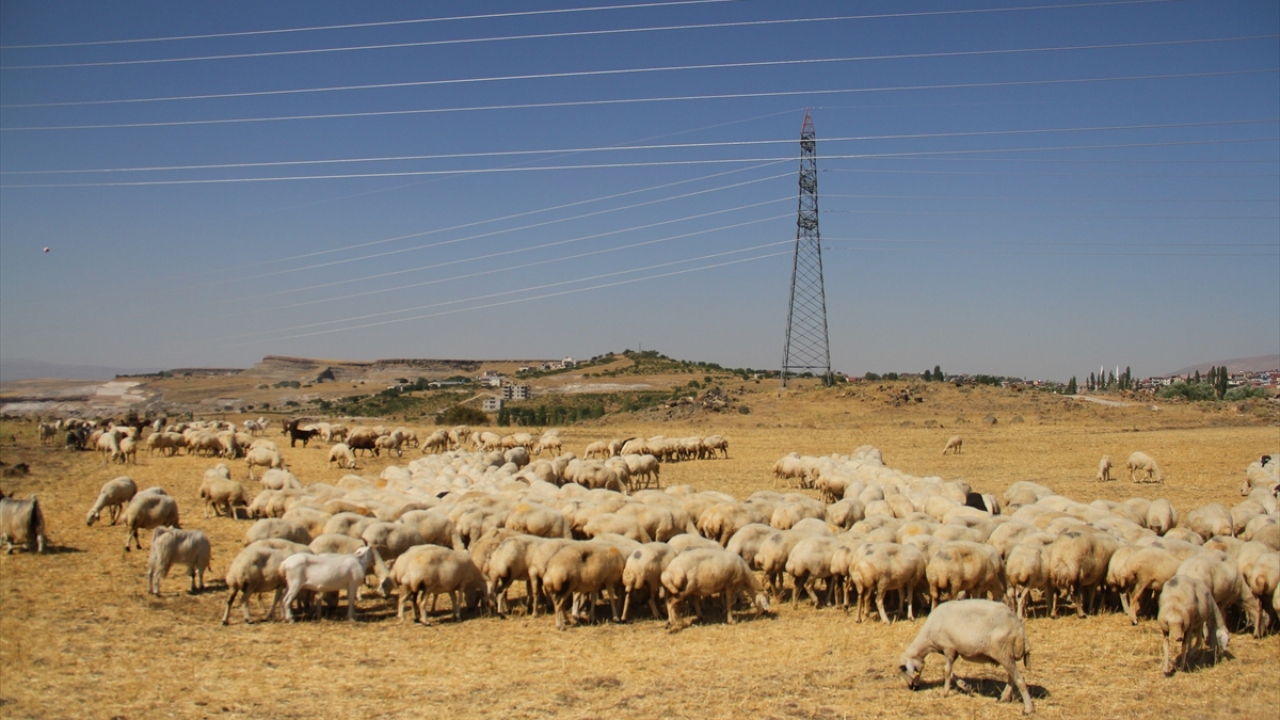 Baba evinden ayrıldıktan sonra bazı sıkıntılar yaşadığını belirten Kılıçkaya, şunları söyledi: