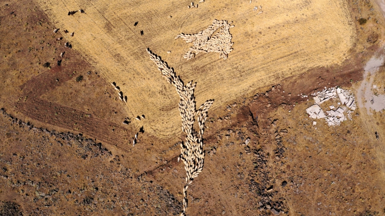 Başakpınar Mahallesi`nde yaşayan Kılıçkaya, 9 yıl önce babasıyla yaşadığı anlaşmazlığın ardından evden ayrıldı.