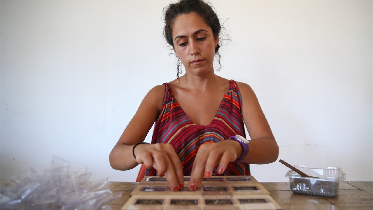 Kadın girişimcinin hedefi, başta Almanya olmak üzere, Avrupa, Amerika ve Orta Doğu`daki birçok ülkeye Türkiye`de üretilen yerli tohumları ulaştırmak.