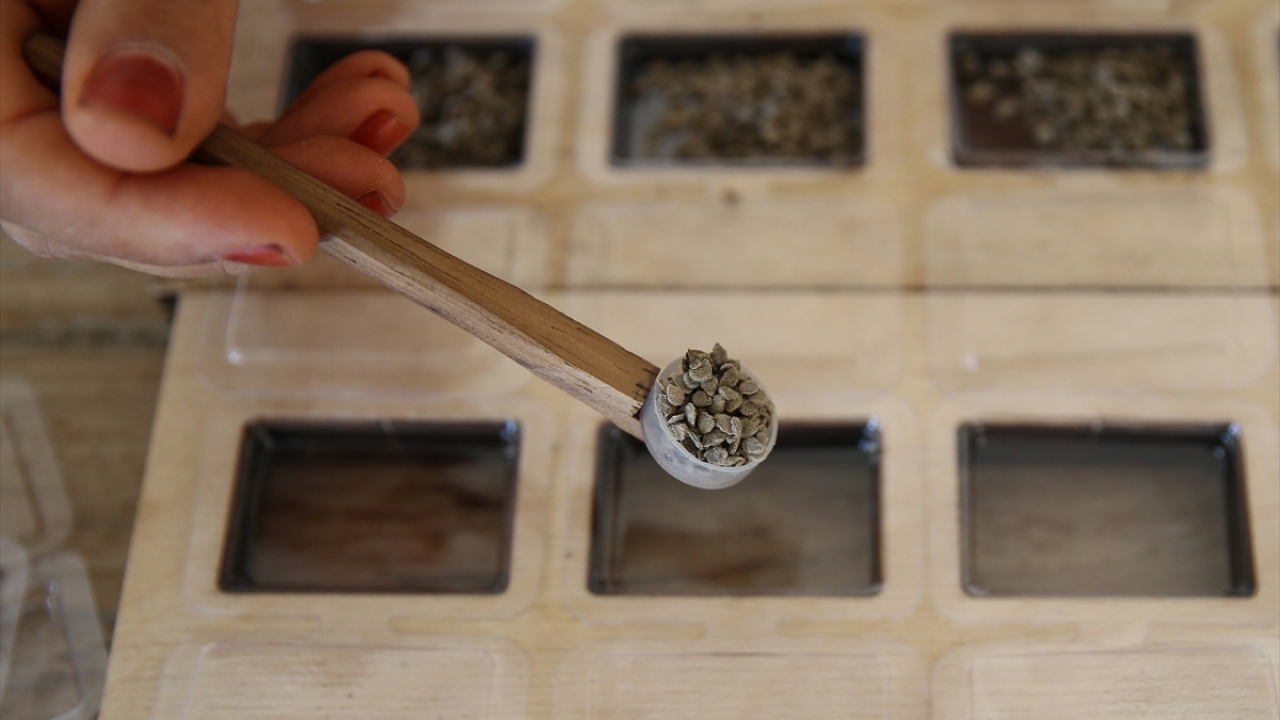 Müge Gültekin, yaptığı açıklamada, hayallerinin peşinden gittiği için hiçbir zaman pişmanlık duymadığını söyledi.