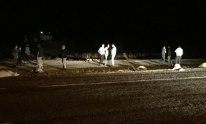 Kazada telef olan hayvanlarına sarılarak gözyaşı döktü