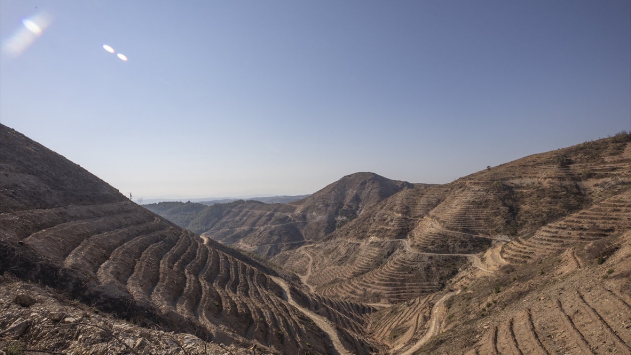 İzmir Orman Bölge Müdürlüğü ekipleri, 80 yıllık kızılçam ağaçlarının bulunduğu alanı eski haline getirmek için yangın bölgesinde çalışmalarını sürdürüyor. 