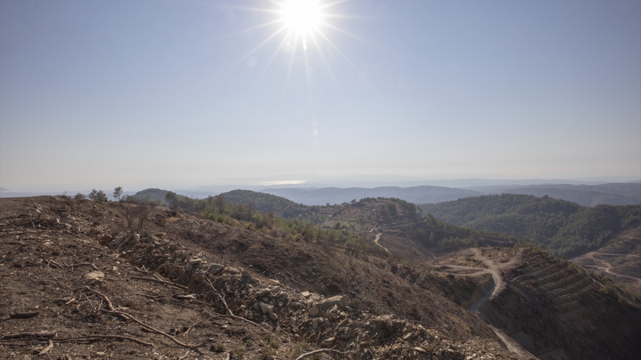 Sahanın boşaltılmasının ardından yeni fidanların dikilmesi için yangın bölgesinde sürüm ve teraslama işleri başladı. 