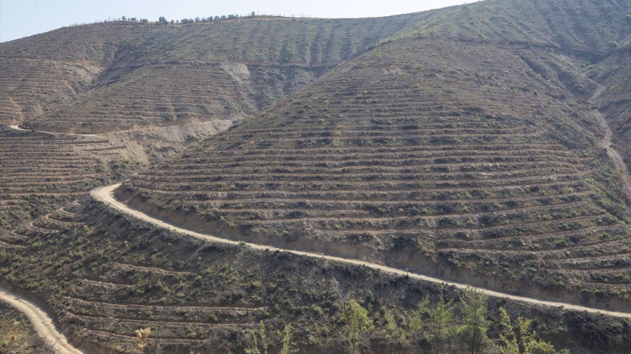 Dozerler ve iş makinalarının kullanıldığı çalışmalarda 400 kişi görev alırken, ekipler dik yamaçları yeniden ağaçlandırmak için teraslama işlemini elle yaparak o bölgelere de fidan dikmeyi başardı.  