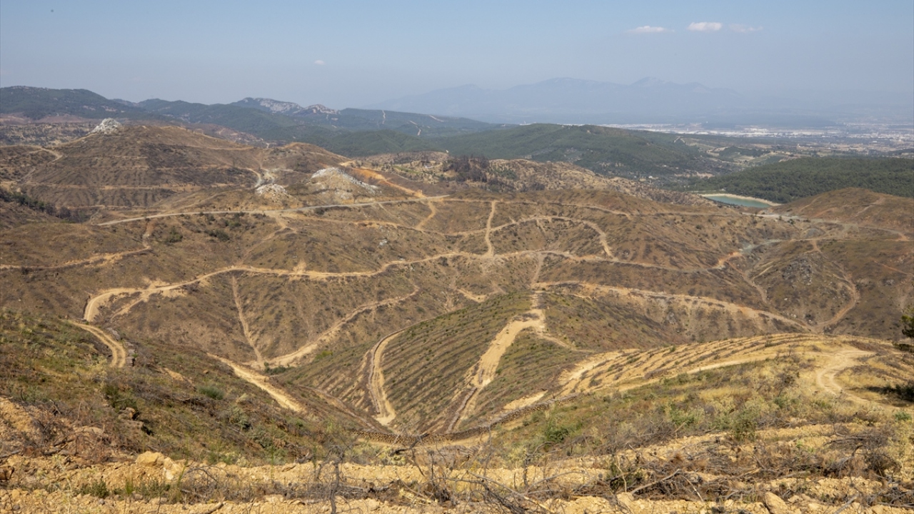 Alanın yeşillendirmesi için hızla çalışan ekipler, alanı kasım ayında başlayan dikim mevsimine yetiştirdi. 