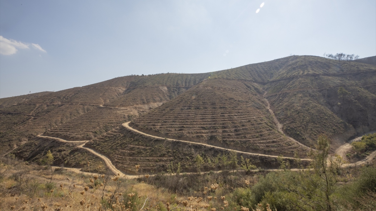 "Dumanlar tüterken program yaptık" 
