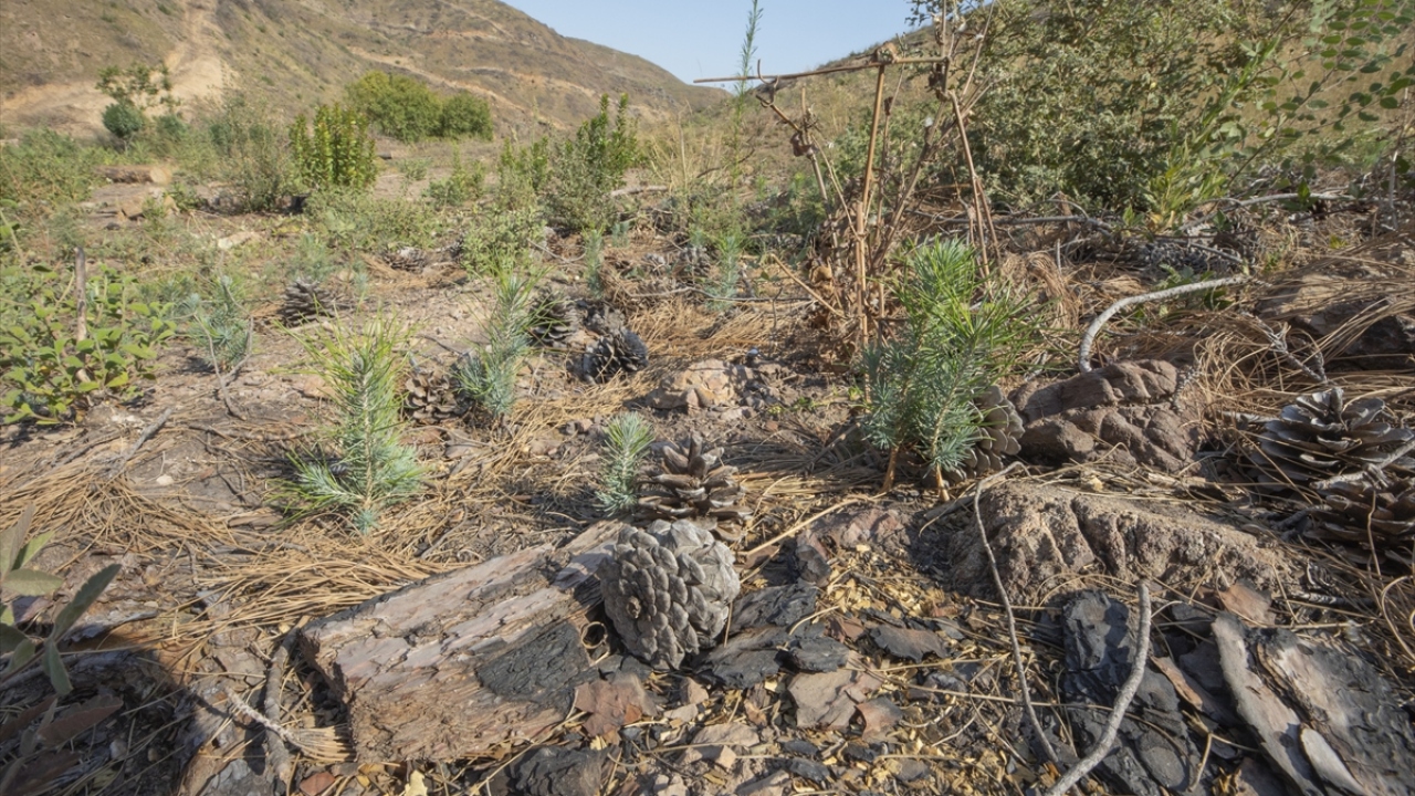 "Bir karış orman toprağı yapılaşmaya açılmaz"
