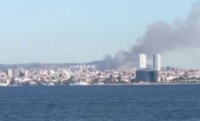 Maltepe'de ormanlık alanda yangın çıktı