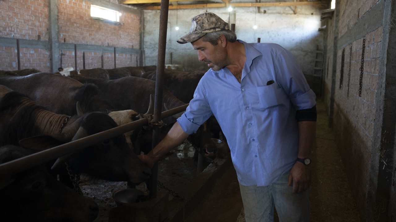 Zahmetli ama avantajlı