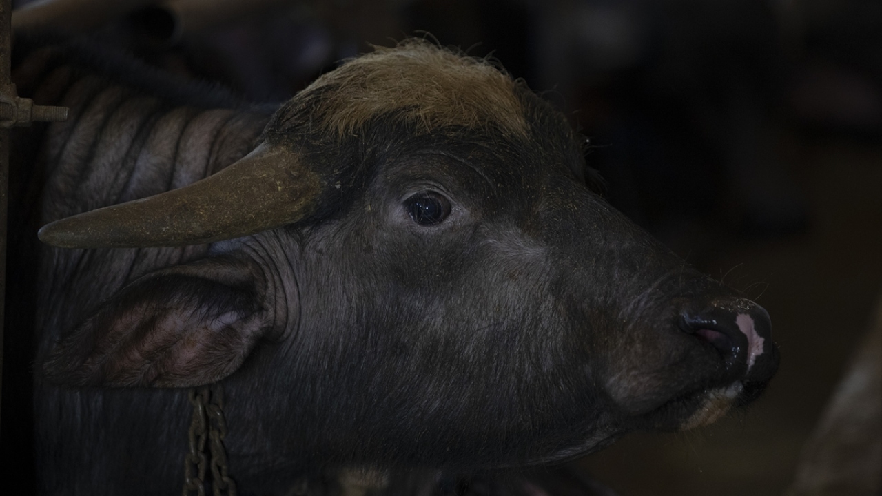 Tarım ve Orman Bakanlığınca verilen destekler