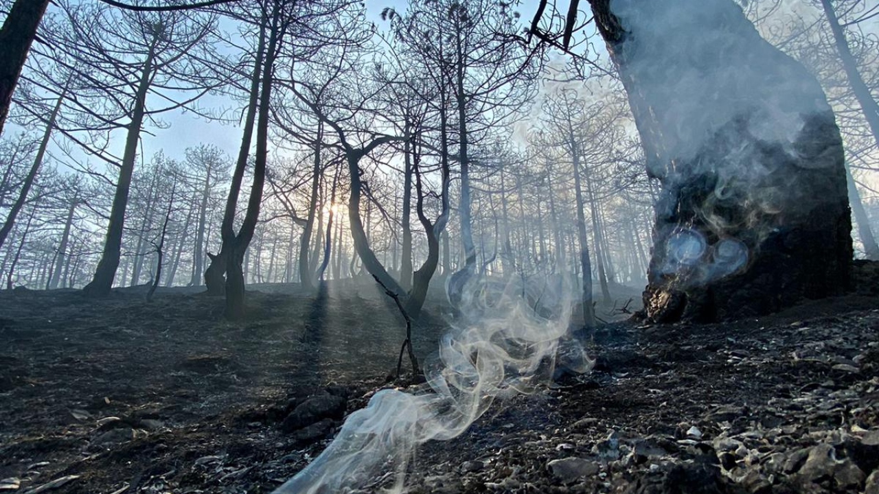Olay yerinden gelen fotoğraflar yangının boyutunu gözler önüne serdi.