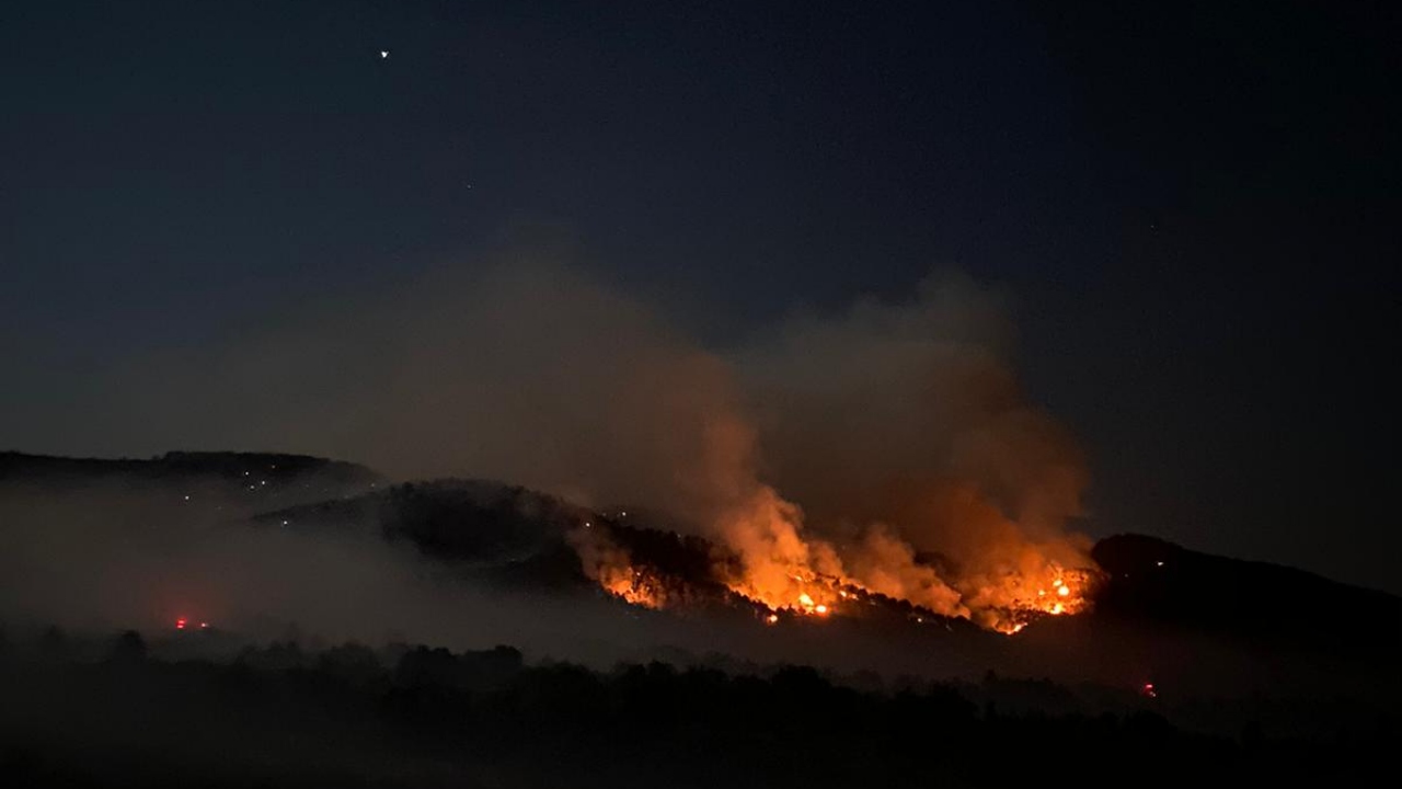 Fotoğraf: Mikail Sevinç