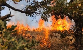 Ankara Kızılcahamam'da yangın
