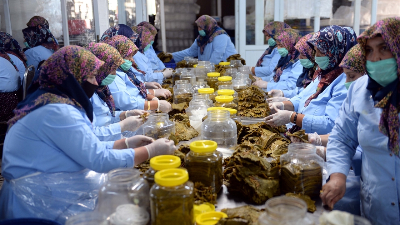 "Ürünümüzün dünyanın dört bir yanında olmasından dolayı çok mutluyuz"