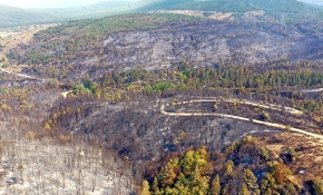 Kastamonu'da yangının verdiği hasar havadan görüntülendi
