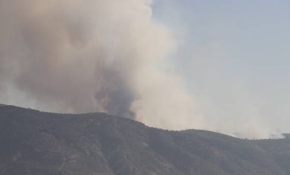 Bakan Pakdemirli, Denizli'deki yangın bölgesinde inceleme yaptı