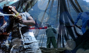 Denizden tezgaha balık; Vira Bismillah