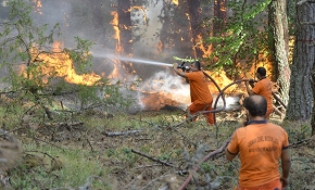 Çorum ve Sinop arasındaki orman yangını sürüyor