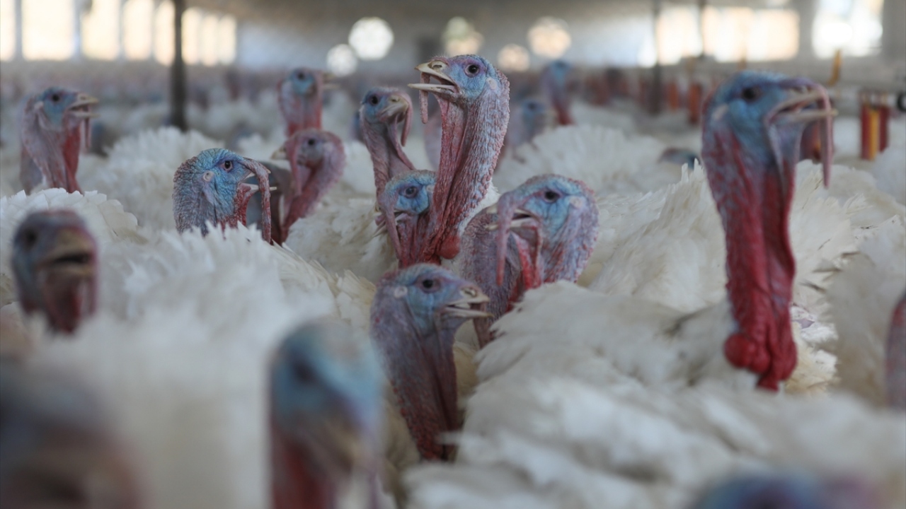 "8 başvuru daha aldık" 