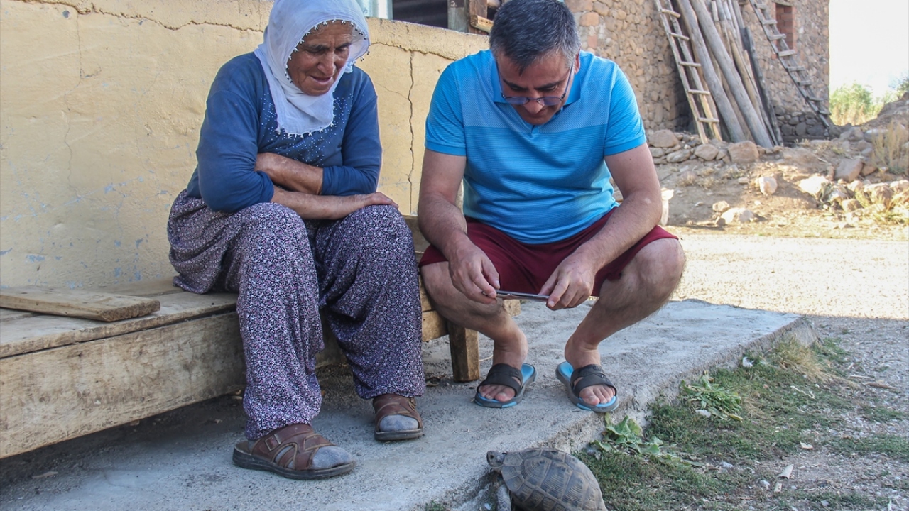 Kaplumbağalara köylülerden şefkat eli