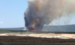 Çanakkale'de orman yangını