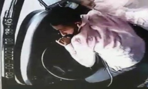 Kafesinden kaçan kedi otobüsü birbirine kattı