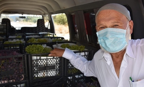 Muhammet Dede'den Mehmetçiğe Oruç Reis vefası: 50 kasa üzüm