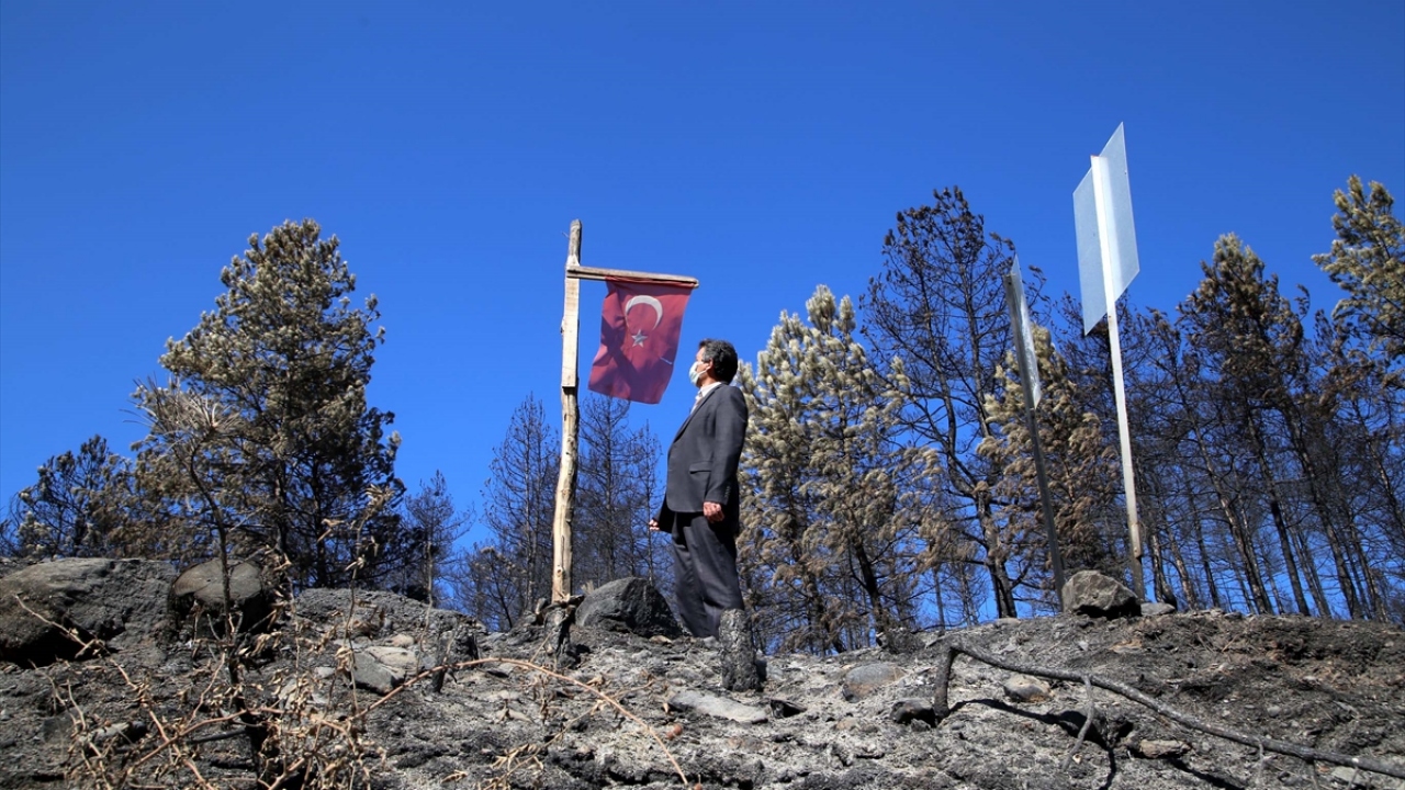 Taşköprü ilçesine bağlı Derekaraağaç köyü Dumanlı Mahallesi`ndeki ormanlık alanda çıkan ve 2 gün sonra kontrol altına alınan yangında Tekeoğlu Mahallesi`ndeki 4 ev ile 4 samanlık da kullanılamaz hale geldi.
