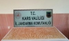 Kars'ta Osmanlı dönemine ait olduğu değerlendirilen 2 bin 5 sikke ele geçirildi
