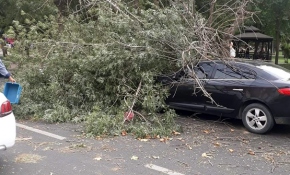 Batman'da fırtına etkili oldu