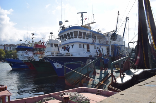 Batı Karadenizde balıkçılar poyraz nedeniyle limana demirledi