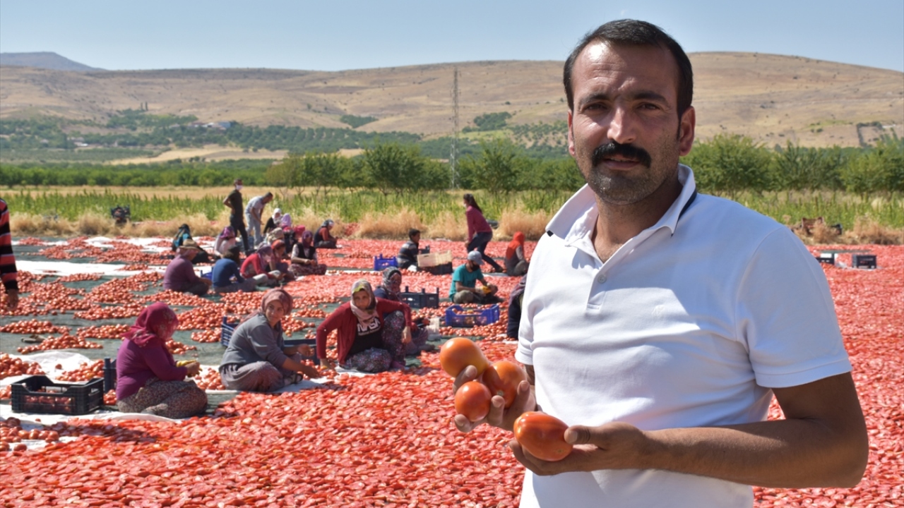 Üretici Vahdettin Boyraz, kurutmalık domates üretiminde İzmir`in önde gelen illerden biri olduğunu söyledi.