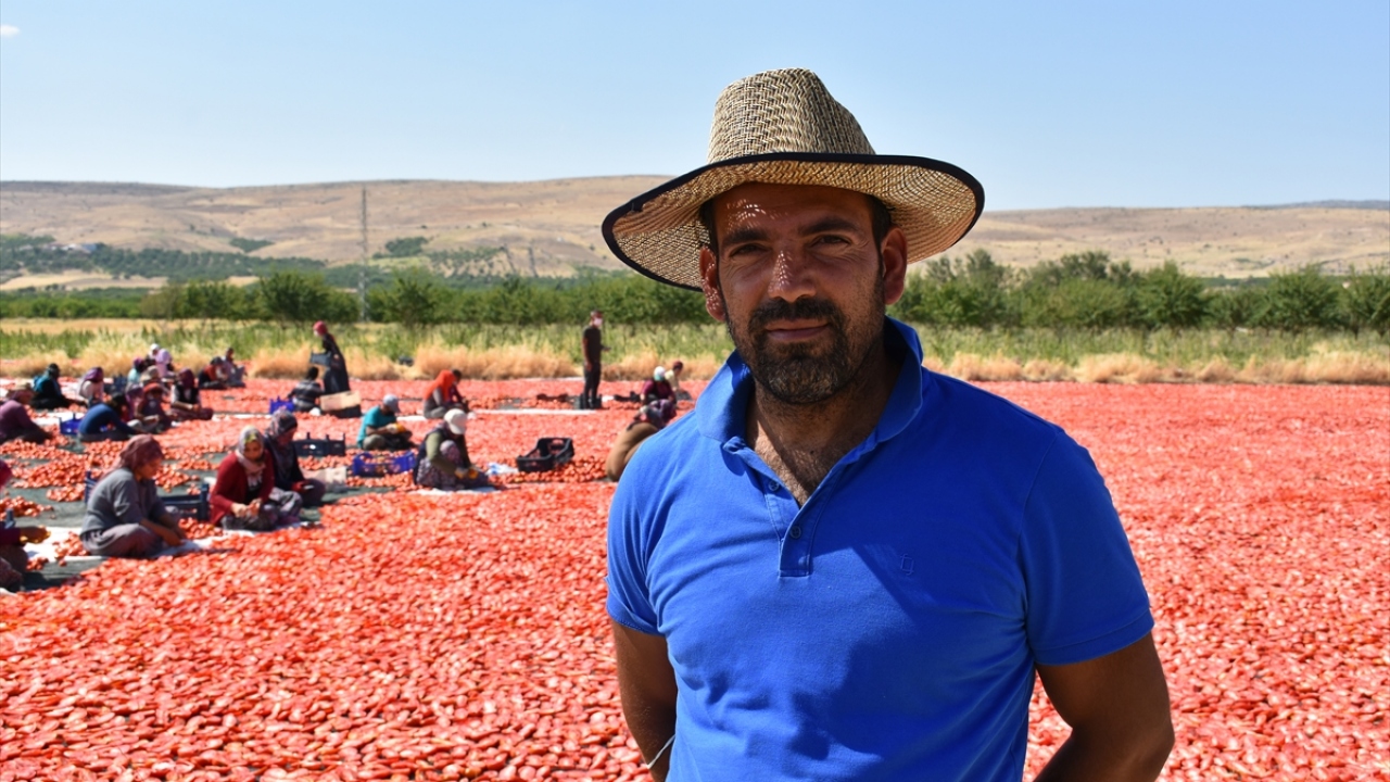 Yusuf Boyraz da kayısı üretimi ve ticaretiyle yaklaşık 20 yıldır uğraştıklarını dile getirerek, son 3 yıldır da kurutmalık domates üretimine girdiklerini söyledi.